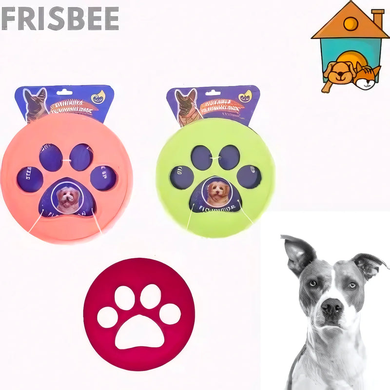 Frisbee Para Perros - Varietas Chile - Santiago