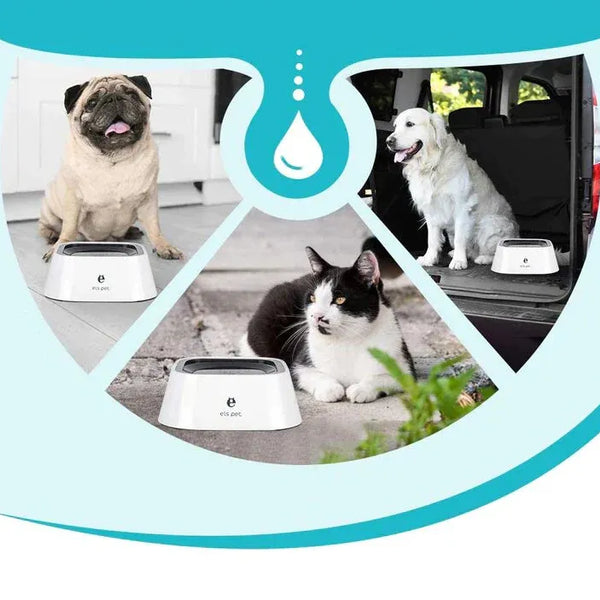 Cuenco Bebedero Antiderrame Mascotas