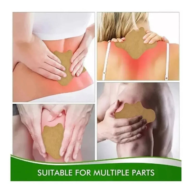 Parches Analgésico Alivia Dolor 10 Und