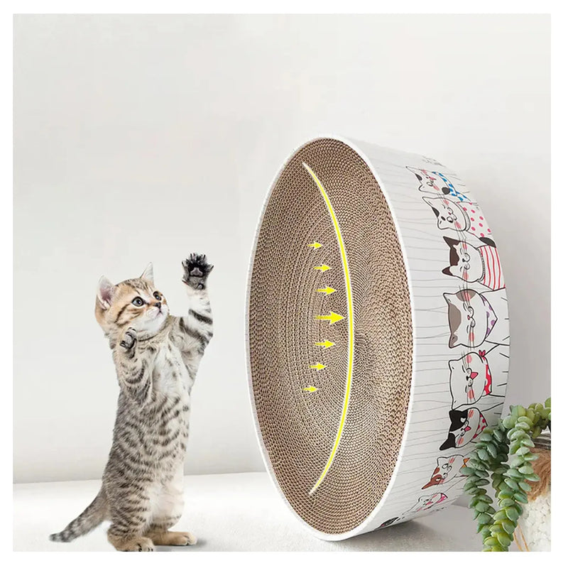 Rascador Gatos Redondo Mascotas Juguete
