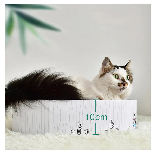 Rascador Gatos Redondo Mascotas Juguete