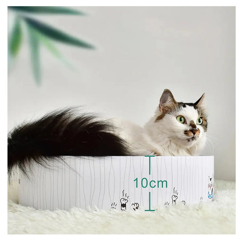 Rascador Gatos Redondo Mascotas Juguete