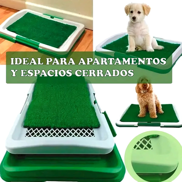 Baño Ecológico Y Portátil Para Perros - Varietas Chile - Santiago