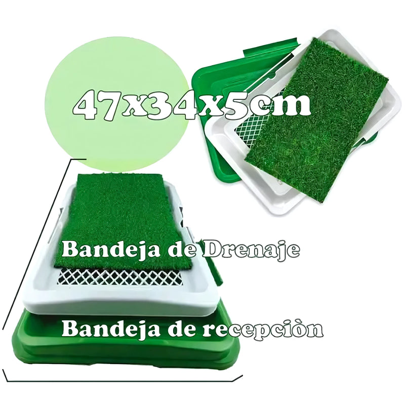 Baño Ecológico Y Portátil Para Perros - Varietas Chile - Santiago