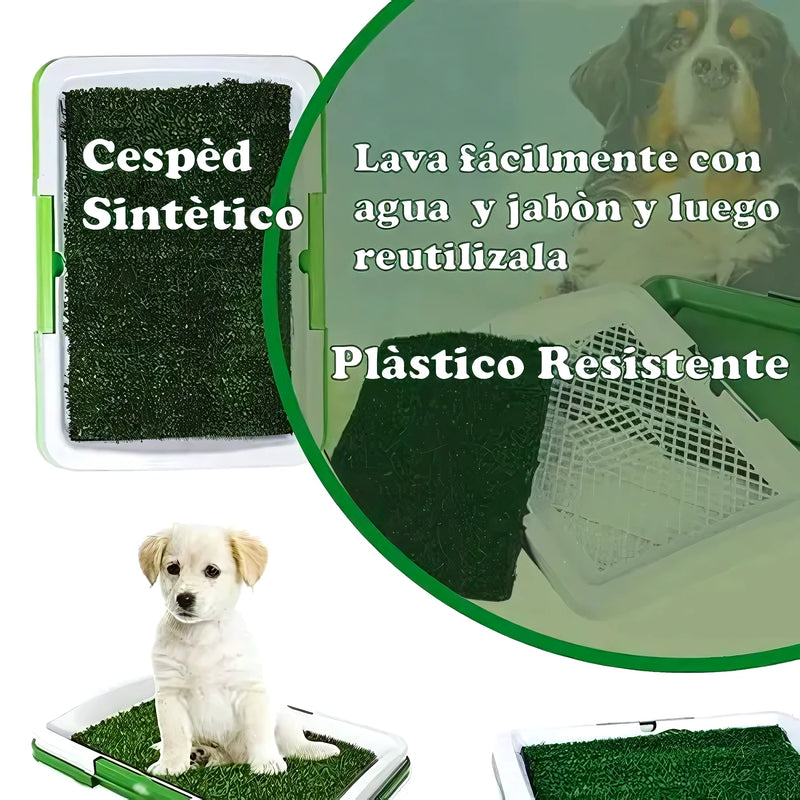 Baño Ecológico Y Portátil Para Perros - Varietas Chile - Santiago