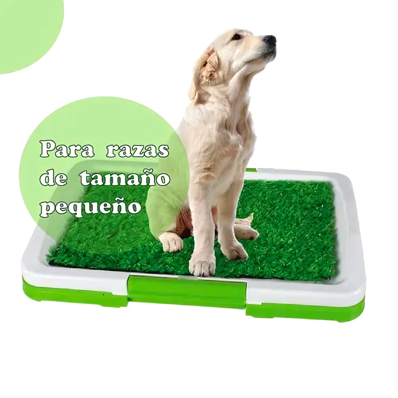 Baño Ecológico Y Portátil Para Perros - Varietas Chile - Santiago