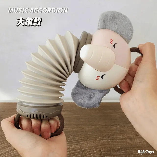 Juguete Musical Acordeón Para Bebé