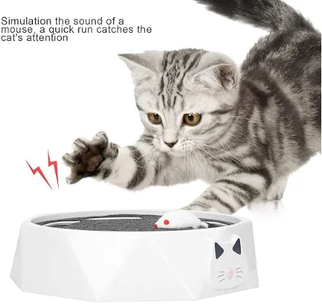 Tocadiscos Para Gato Electrico