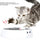 Tocadiscos Para Gato Electrico