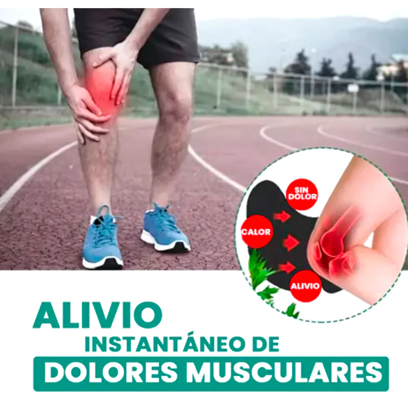 Parches Para El Dolor De Rodilla - Varietas Chile - Santiago