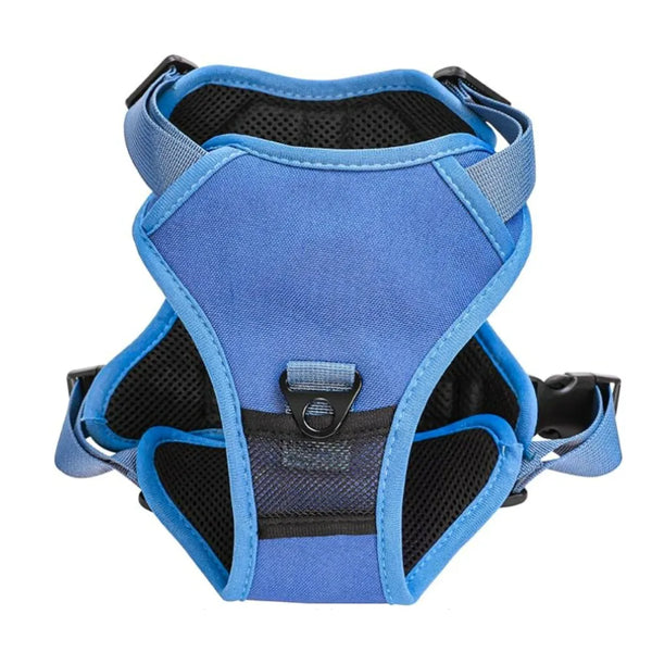 Arnés Perro Con Correa Retráctil Colores