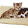 Alfombra Polar Mascotas Invierno