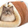 Alfombra Y Cama Tubular Para Gatos