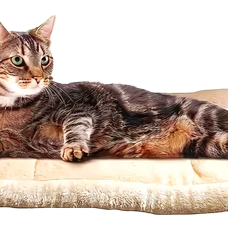 Alfombra Y Cama Tubular Para Gatos - Varietas Chile - Santiago