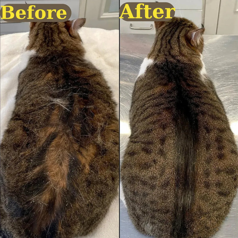 Cepillo De Vapor Recargable Para Mascota