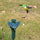 Pack De 2 Colibrí En Estaca Solar
