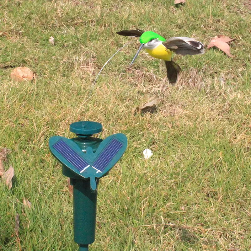 Pack De 2 Colibrí En Estaca Solar - Varietas Chile - Santiago