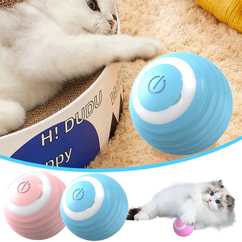 Pelota De Juguete Para Mascotas Recargab - Varietas Chile - Santiago