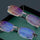 Lentes Smart Rt90