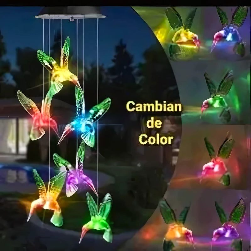 Colgante Solar Colibrí - Varietas Chile - Santiago