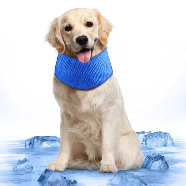 Bandana Refrescante Para Perros