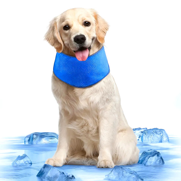 Bandana Refrescante Para Perros - Varietas Chile - Santiago