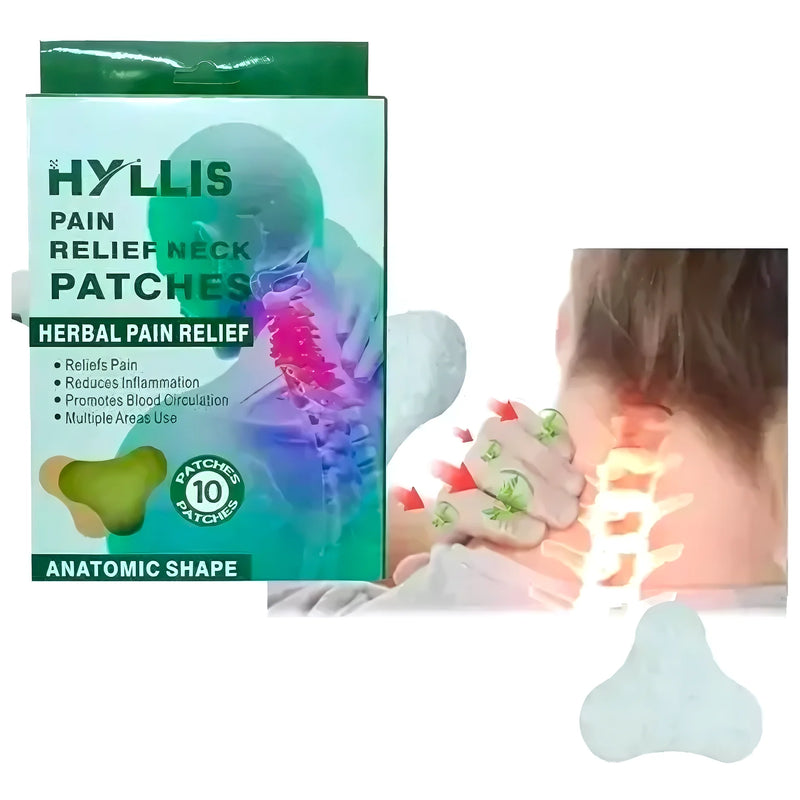 Pack 1 Almohada Cervical Más 10 Parches - Varietas Chile - Santiago