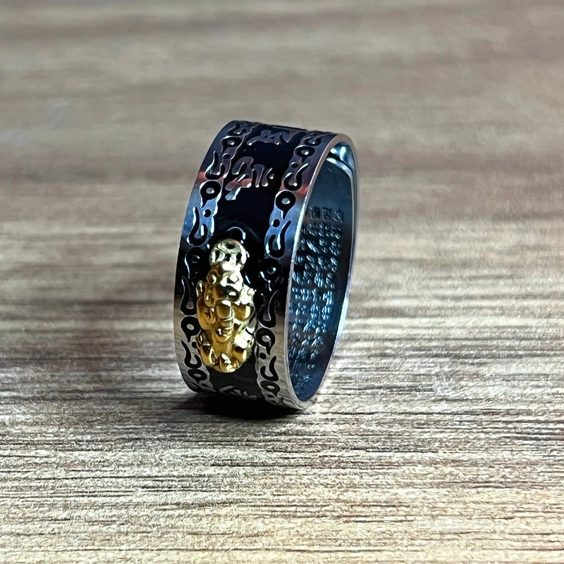 Anillo Feng Shui Acero Inoxidable 2X1 - Varietas Chile - Santiago