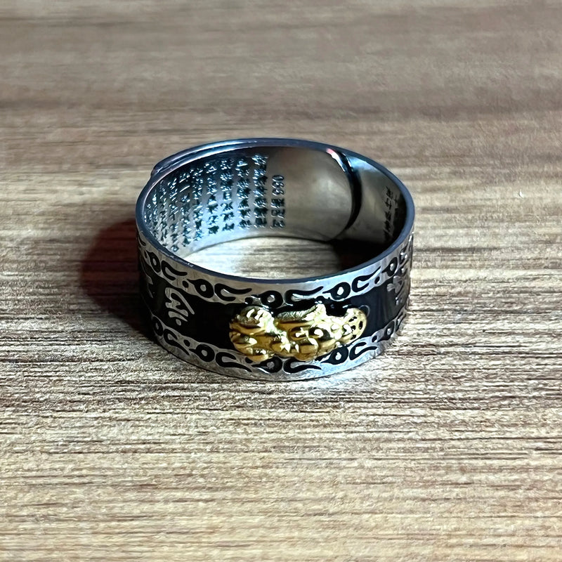 Anillo Feng Shui Acero Inoxidable 2X1 - Varietas Chile - Santiago