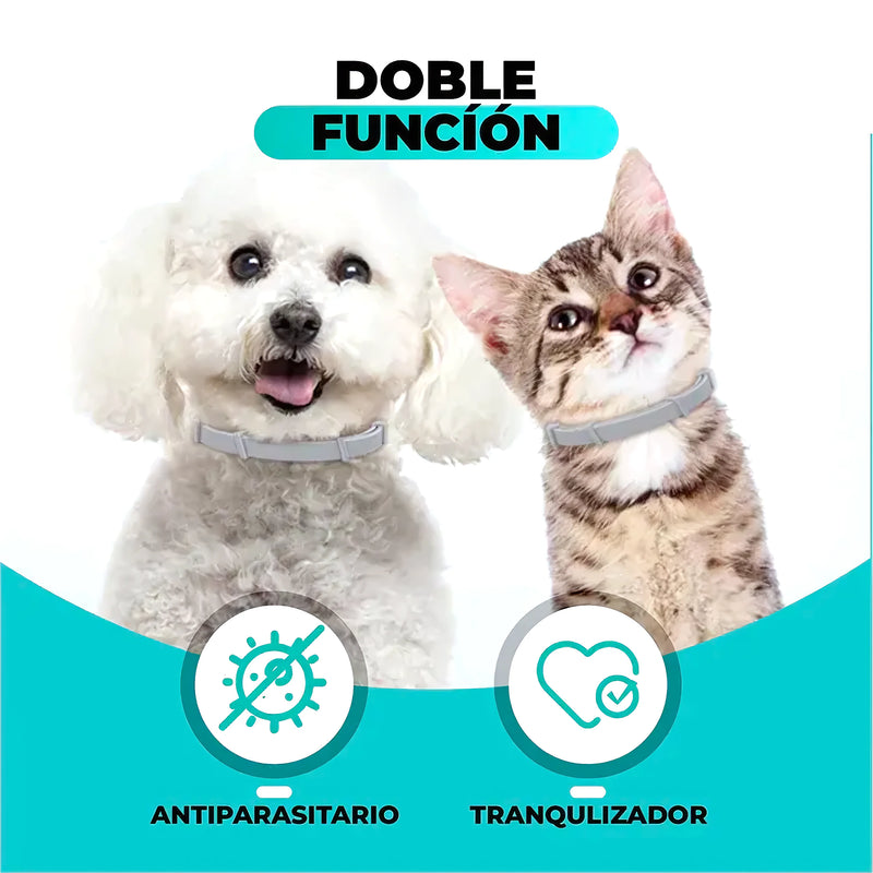 Collar Para Mascotas Antiparasitario - Varietas Chile - Santiago