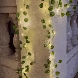 Enredadera Solar Para Terraza Navidad 5M