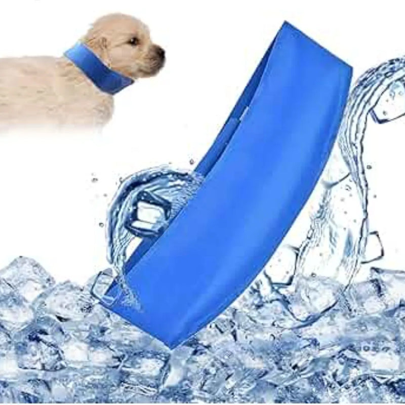 Collar Refrescante Para Mascota