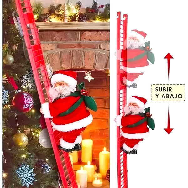 Viejito Pascuero Escalera X2 - Varietas Chile - Santiago