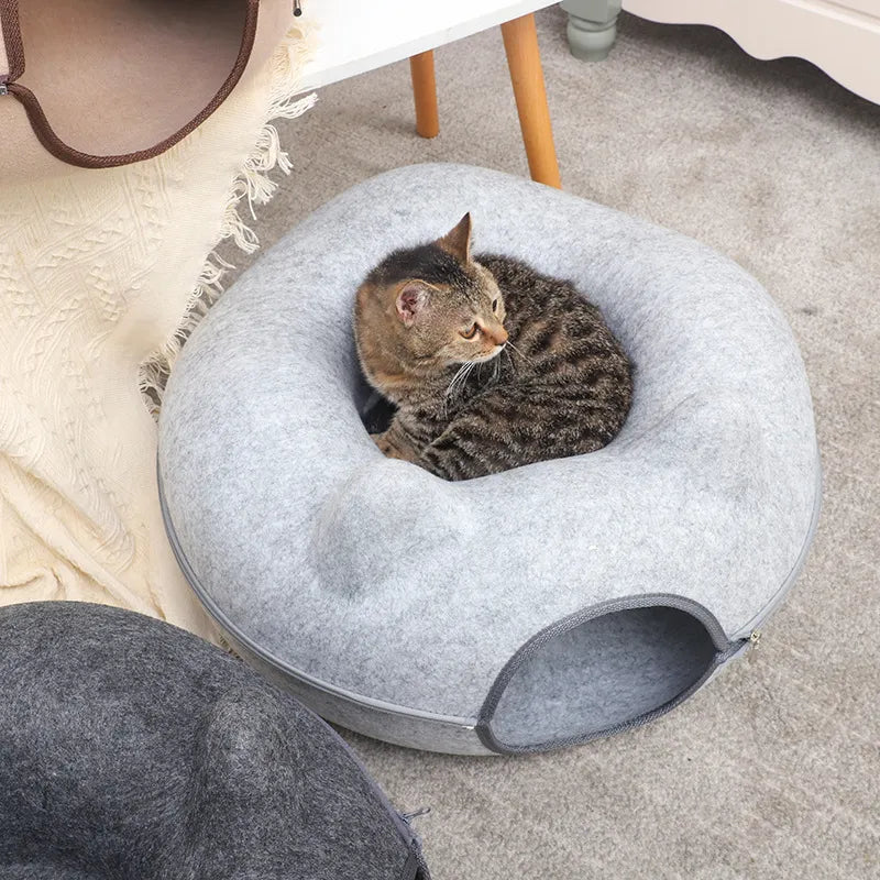 Cs Michi Cueva 710027