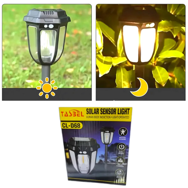 Farol Solar 2 En 1 Con Estaca De 50 Cms - Varietas Chile - Santiago