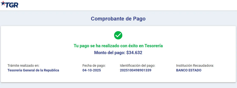 Hidrolavadora Portatil Con Bateria