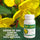 Antidepresivo Natural Hierba San Juan