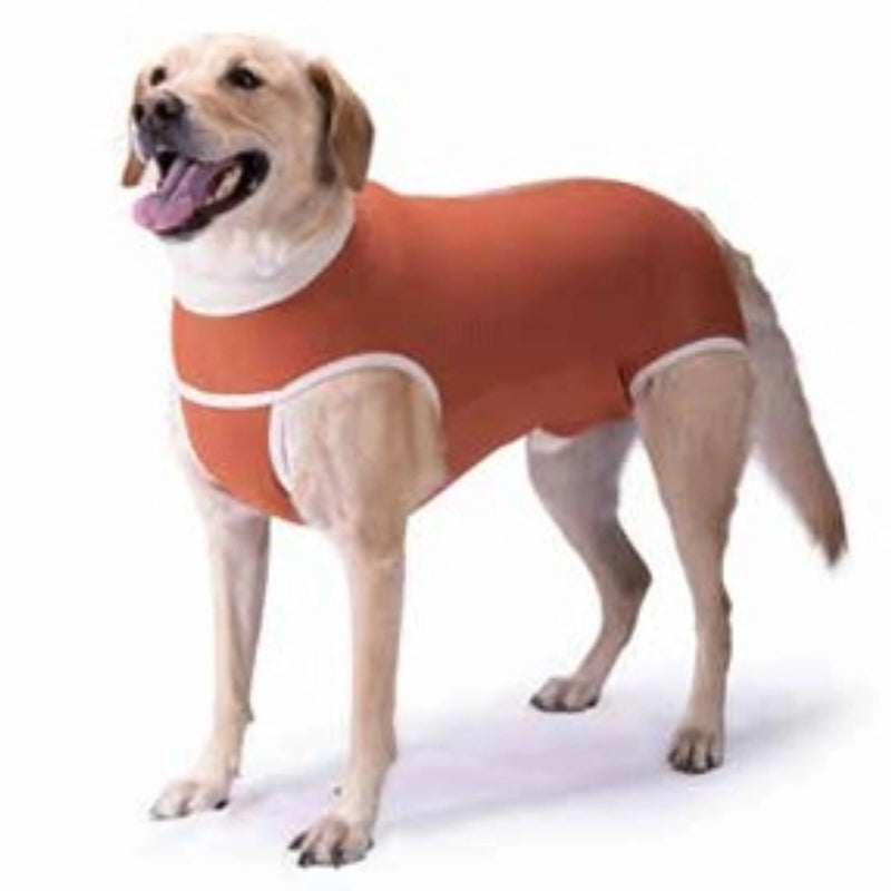 Body Cobre Kimba Castración Talla 14