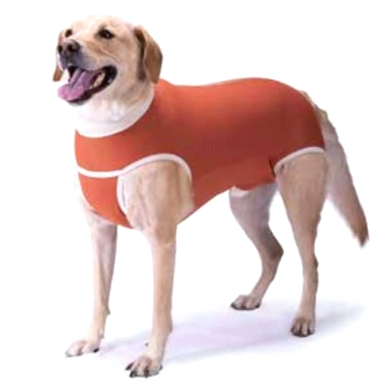 Body Cobre Kimba Castración Talla 11 - Varietas Chile - Santiago