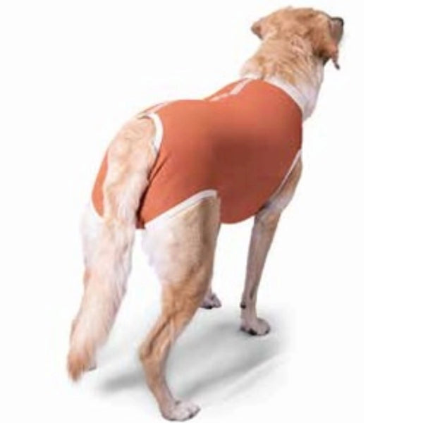 Body Cobre Kimba Castración Talla 7