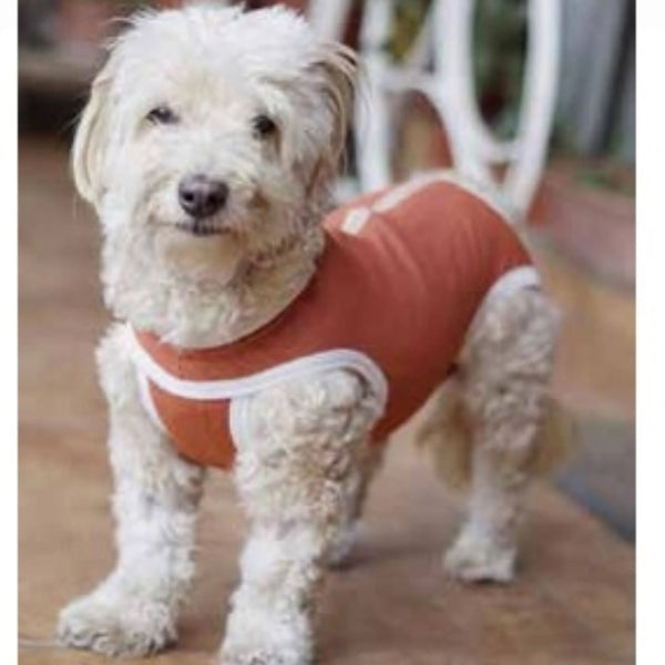 Body Cobre Kimba Castración Talla 2