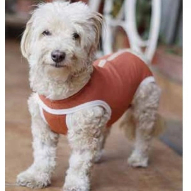 Body Cobre Kimba Castración Talla 0