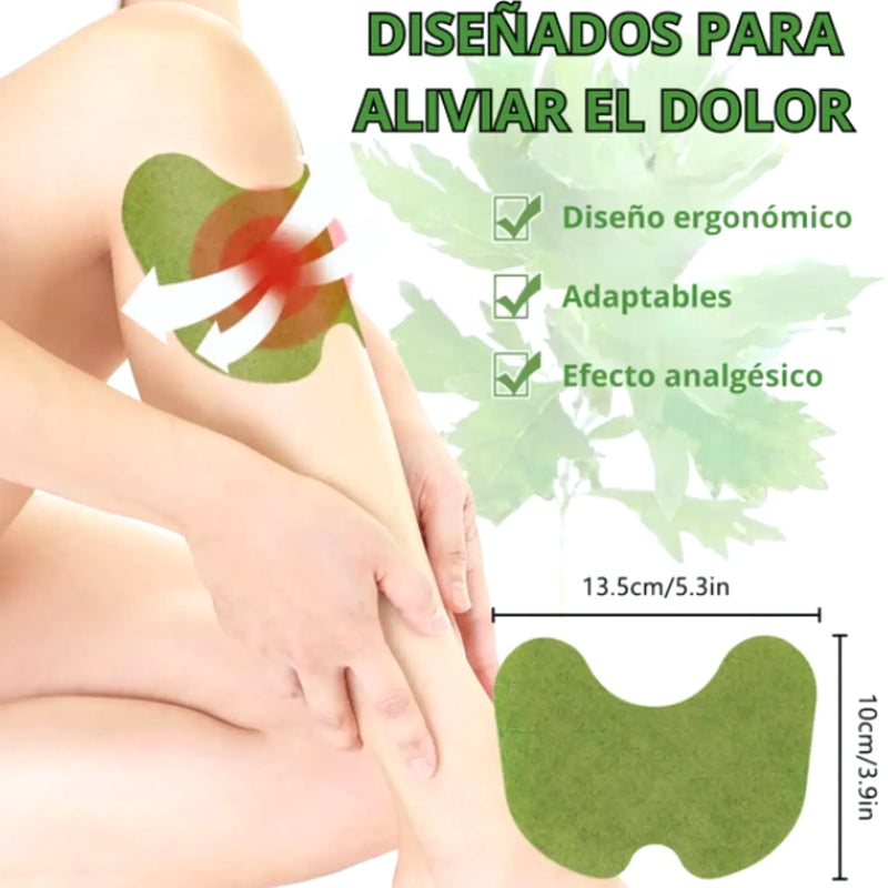 Pack Rodillera Elástica Parche Dolor - Varietas Chile - Santiago