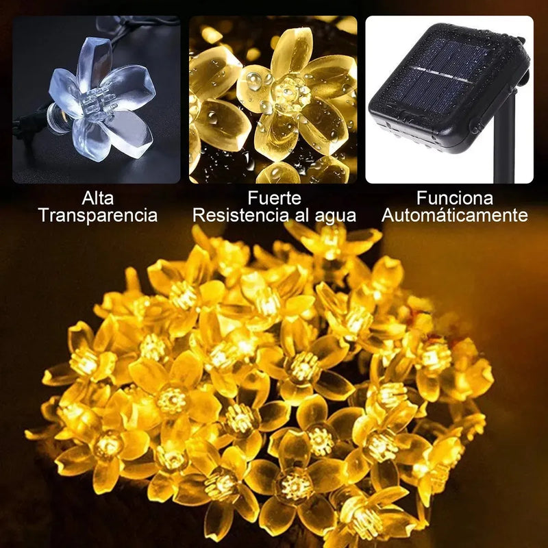 Solar Luces De Flores 5M 20Led8154