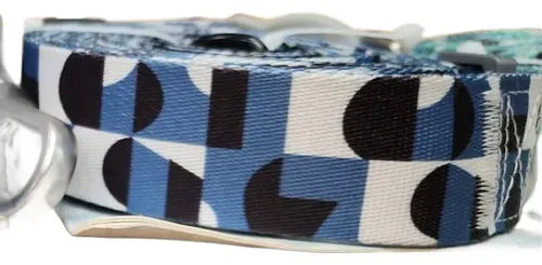 Correa Para Perros 6M Full Color Azul