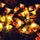 W Guirnalda Solar Abejas
