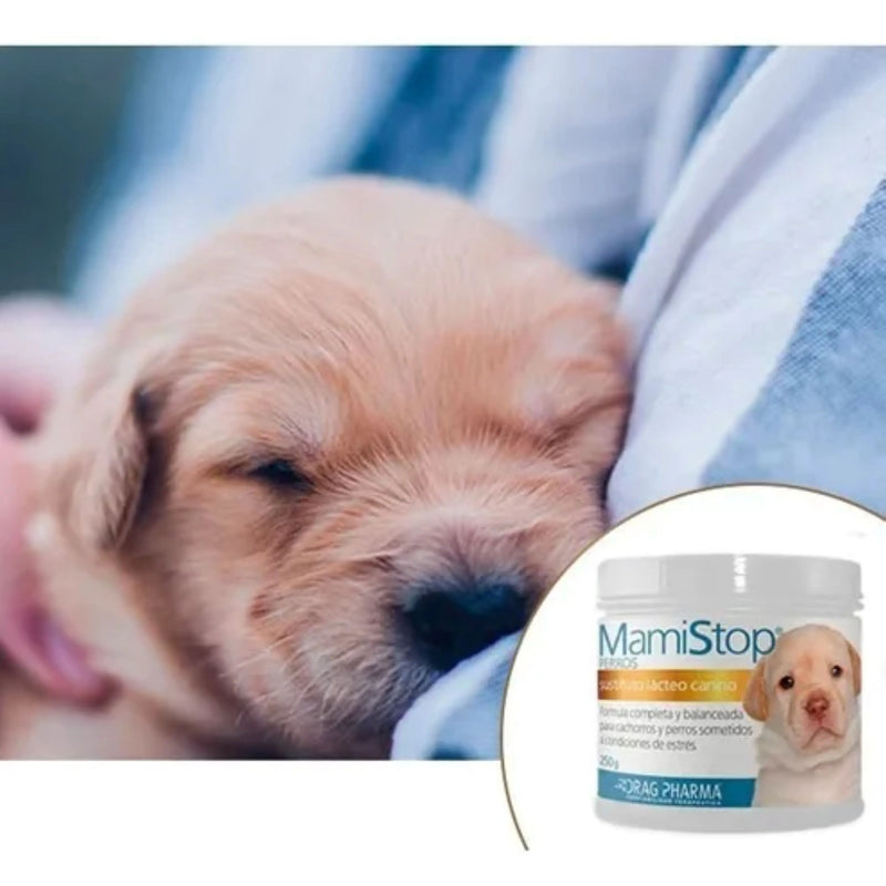 Mamistop Sustituto Lacteo Canino 250Gr