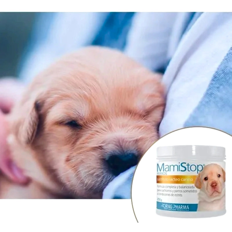 Mamistop Sustituto Lacteo Canino 250Gr - Varietas Chile - Santiago
