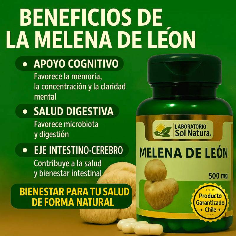 Melena De Leon - Varietas Chile - Santiago