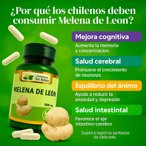 Melena De Leon - Varietas Chile - Santiago